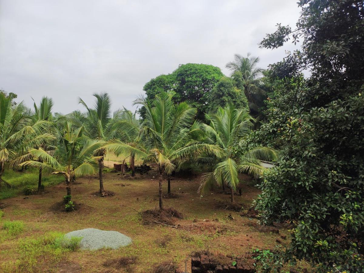 Sunny'S Paradise Gokarna (Karnataka) Chambre photo